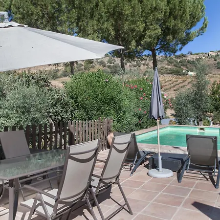 Lantställe Mimosas *